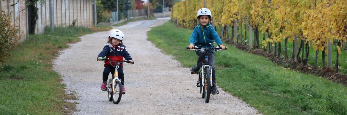 Startseite | Fonds Gesundes Österreich Startseite | Fonds Gesundes Österreich